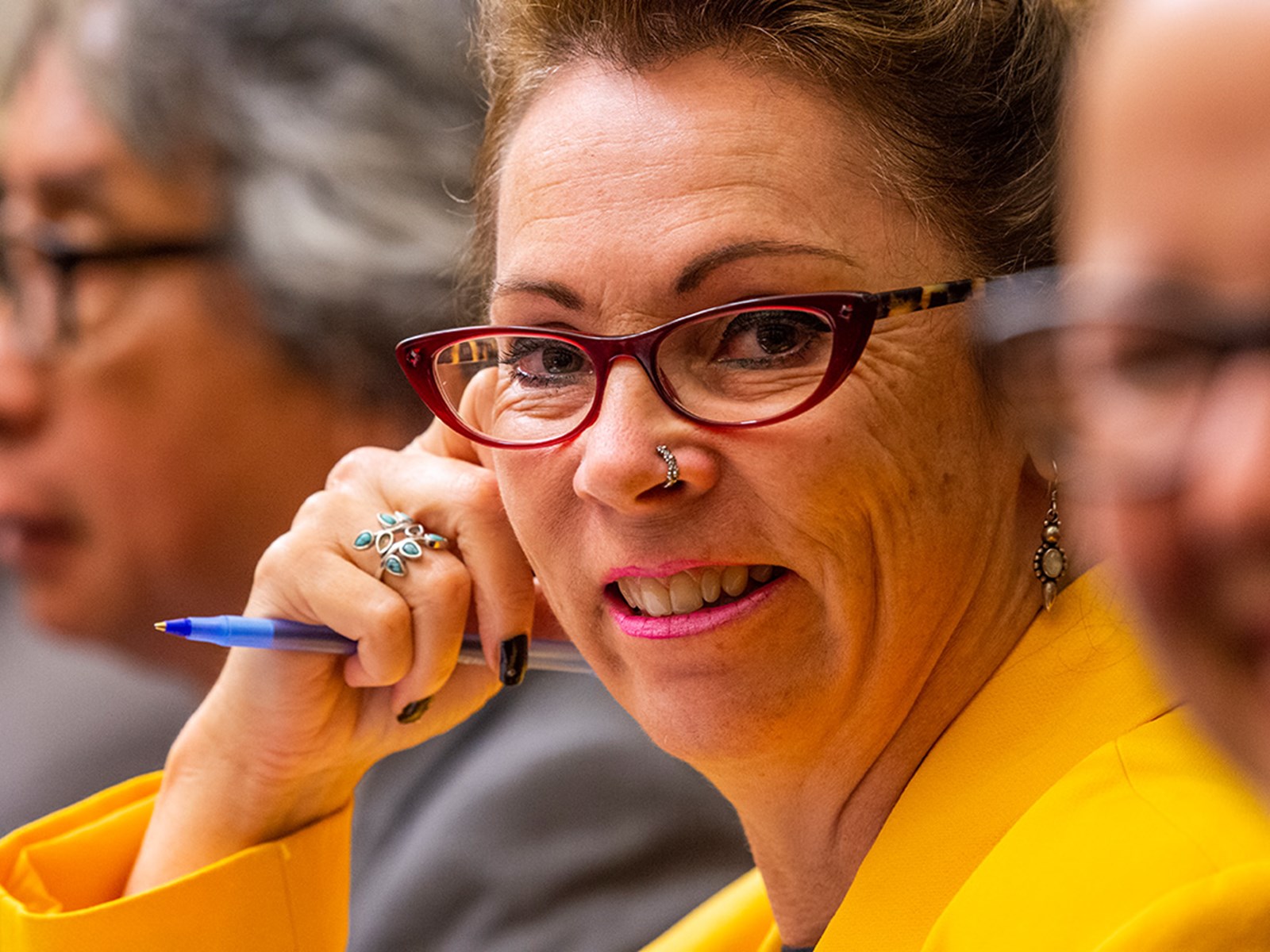 Legislative Council Sitting legislative-council-sitting