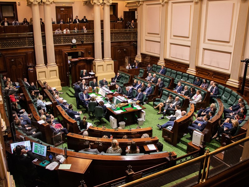 Parliamentary activity 