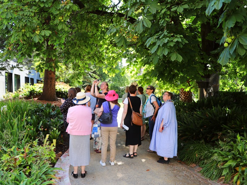 A group of people walks along a path covered by trees, admiring the Parliament garden.